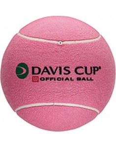 Wilson Jumbo mini Ball Roze