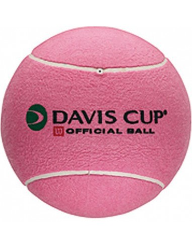 Wilson Jumbo mini Ball Roze