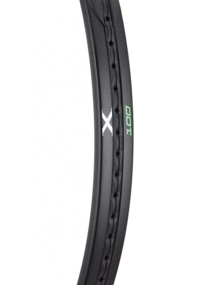 Prince Twistpower X 100