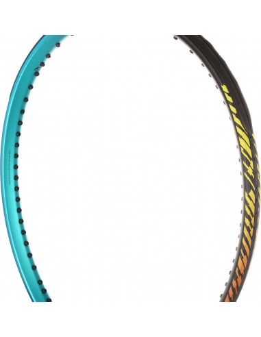 Prince Vortex 100 (310g)