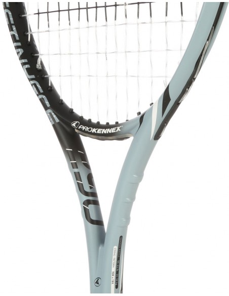 Pro Kennex Destiny FCS 290 Grey/Black