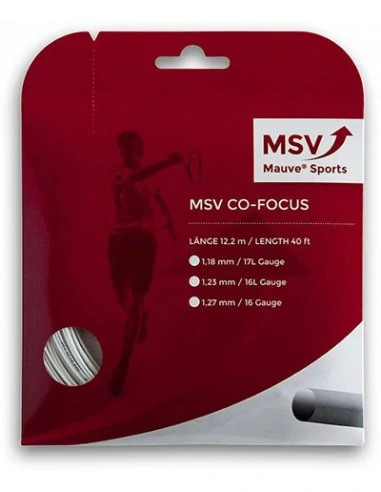 MSV Co-Focus Wit