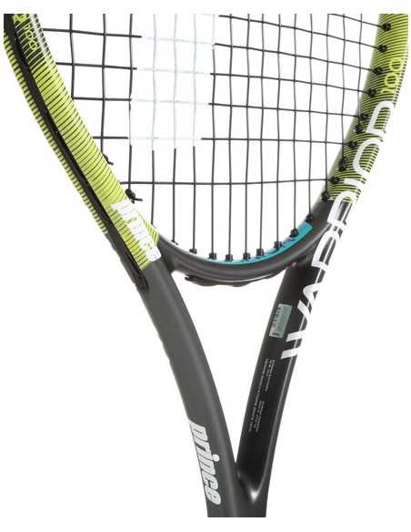 Prince Warrior 100 300g