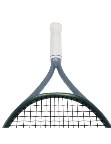 Indian Maharadja Ravi 300