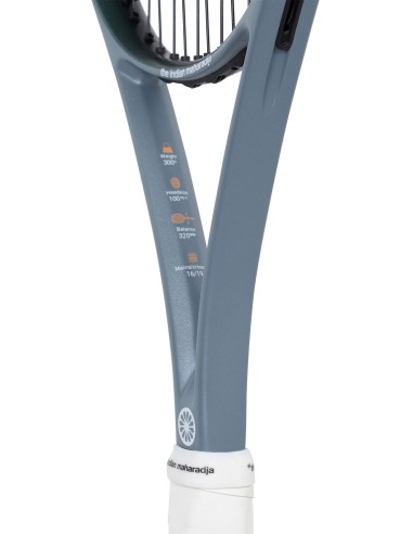 Indian Maharadja Ravi 300