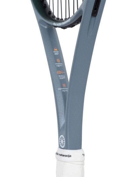 Indian Maharadja Ravi 300